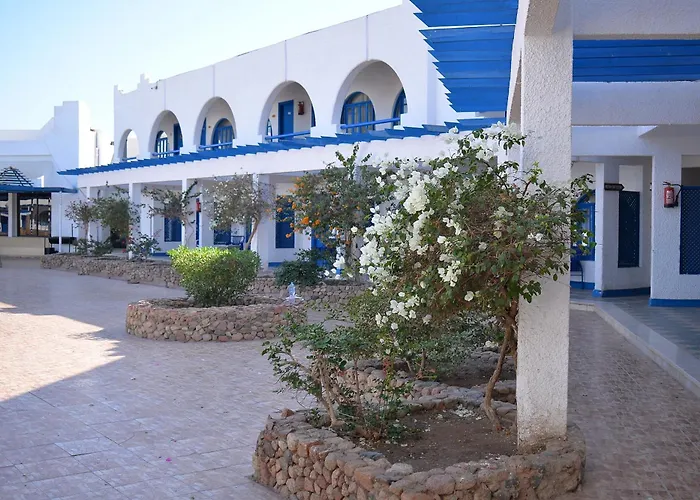 Aida & Sheikh 3* Sharm El-Sheikh