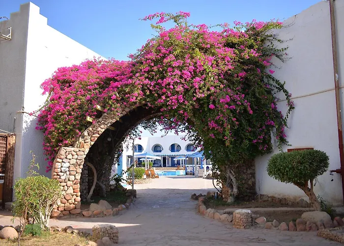 Hotel Aida & Sheikh