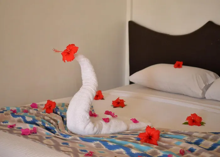Hotel Aida & Sheikh