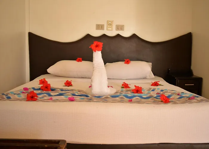 Hotel Aida & Sheikh 3*